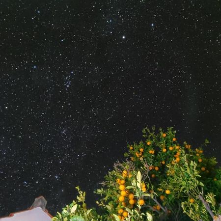 "Villa Servanda " - Relax, Nature, Wide Views Of The Sea And A Starry Sky Puntagorda Esterno foto