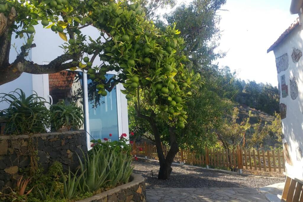 "Villa Servanda " - Relax, Nature, Wide Views Of The Sea And A Starry Sky Puntagorda Esterno foto