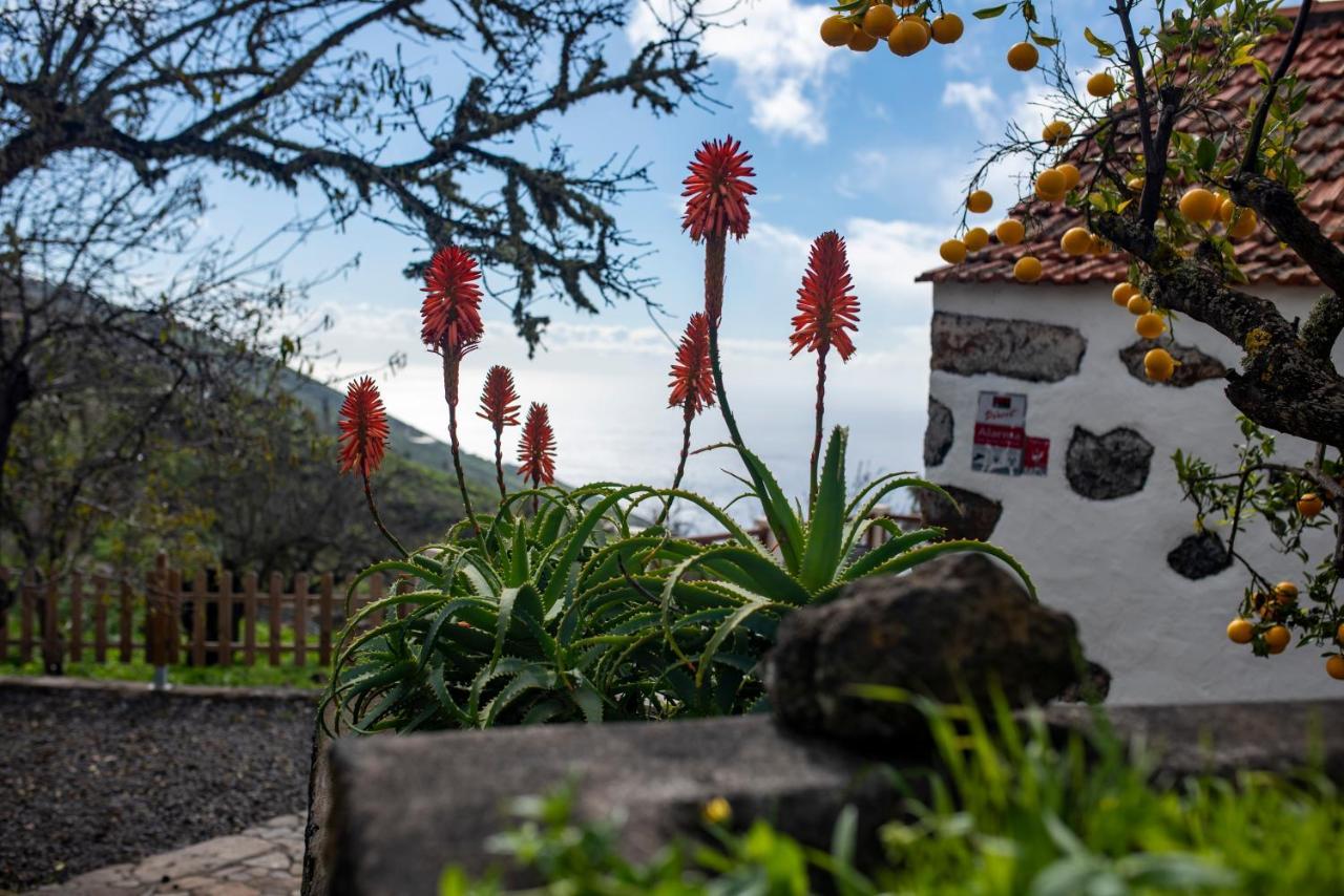 "Villa Servanda " - Relax, Nature, Wide Views Of The Sea And A Starry Sky Puntagorda Esterno foto
