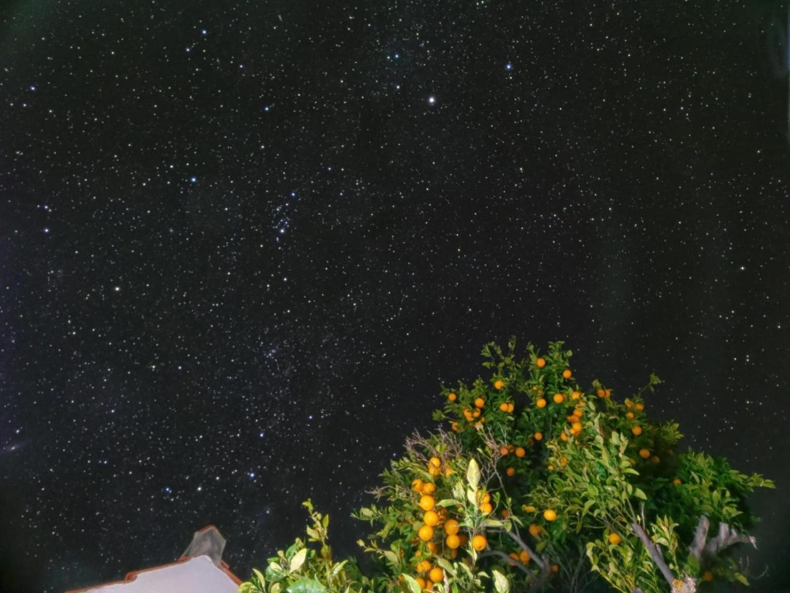 "Villa Servanda " - Relax, Nature, Wide Views Of The Sea And A Starry Sky Puntagorda Esterno foto